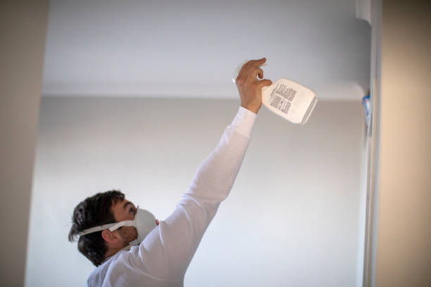 Best Mold Removal Company Near Me  in Rock Creek, AL