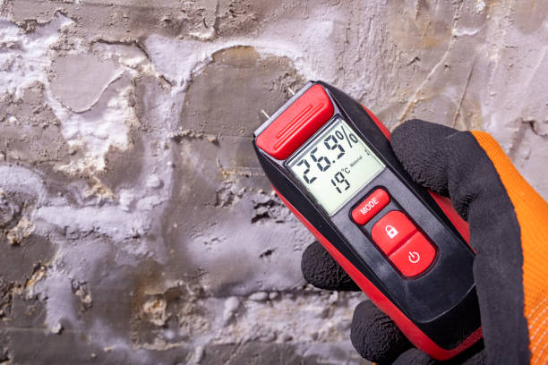 Best Attic Mold Removal  in Rock Creek, AL