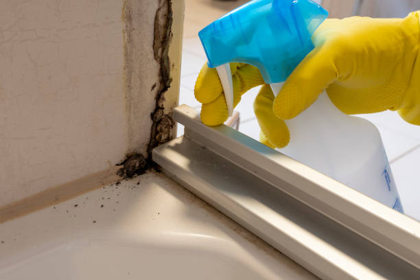Water Damage Restoration in Rock Creek, AL