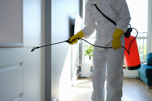 Best Toxic Mold Removal  in Rock Creek, AL