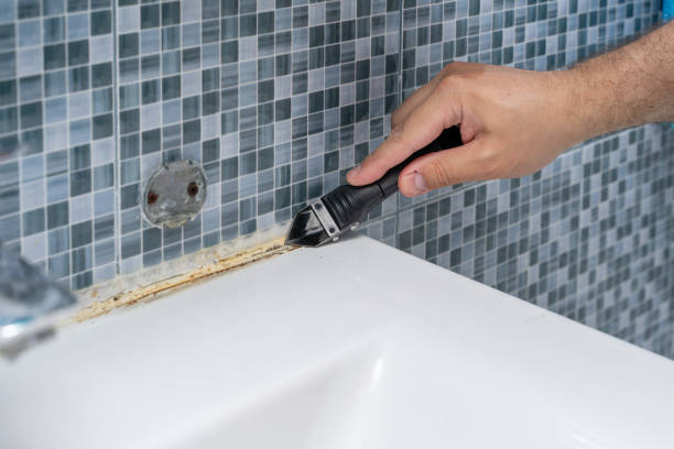 Best Best Mold Removal Companies  in Rock Creek, AL