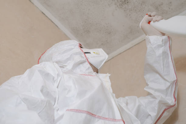 Best Office Mold Removal Services  in Rock Creek, AL
